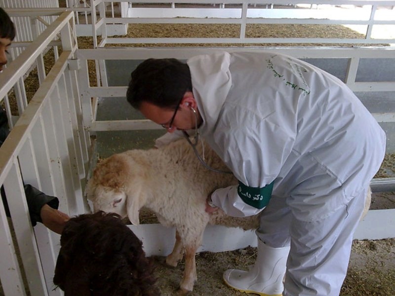 خدمات دامپزشکی در پدافند غیر عامل ویژه دیده شود