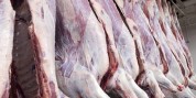 1200 تن گوشت در ایلام توزیع شد