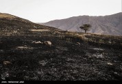 عامل انسانی در وقوع ۹۵ درصد از آتش سوزی‌ اراضی ملی در استان سمنان دخیل است