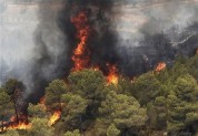 خطر آتش‌سوزی، بیخ گوش منابع‌طبیعی استان کرمانشاه؛ سالی بحرانی برای جنگل‌های زاگرس پیش‌بینی می‌شود