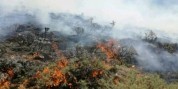 آتش‌سوزی بلای جان جنگل‌های کهگیلویه‌و بویراحمد
