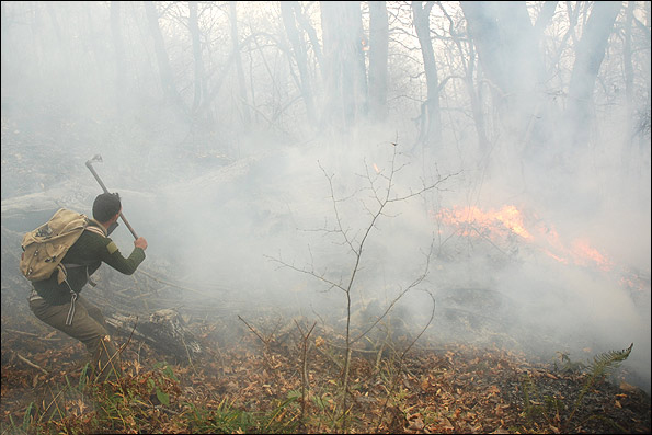 170 هکتار از اراضی طبیعی در گیلانغرب طعمه شعله‌های آتش شد
