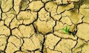 وضعیت رفسنجان در زمینه آب بحرانی است