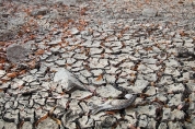 چهارمحال و بختیاری پنجمین استان خشک کشور/کاهش ۲۸ درصدی بارش