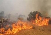 آتش سوزی در مراتع منابع طبیعی