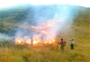 سهل‌انگاری مهمترین عامل در آتش‌سوزی مراتع/۱۵۰ هکتار از اراضی منابع طبیعی همدان طعمه حریق شد
