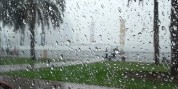 بارندگی در استان البرز 70 درصد افزایش یافته است