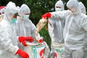 پایش مستمر مرغداری های تهران برای کاهش تلفات آنفلوآنزا پرندگان