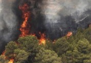 هشدار سرپرست منابع طبیعی استان تهران نسبت به خطر وقوع آتش‌سوزی در عرصه‌های جنگلی و مرتعی