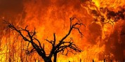 وقوع 85 آتش‌سوزی در مراتع فارس/ عوامل انسانی اصلی‌ترین علت