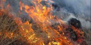 بی‌مسؤولیتی عامل آتش‌سوزی مراتع زاگرس