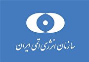 اطلاعیه سازمان انرژی اتمی ایران درباره ادعای یک گروه هکری