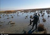 ۱۴ سایت زیستگاه پرندگان مهاجر در ایلام در برابر آنفلوانزای فوق حاد پرندگان پایش می‌شود