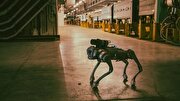 سگ رباتیک نگهبان سازمان اروپایی پژوهش‌های هسته‌ای شد