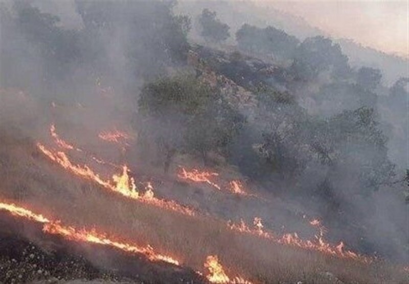 مهار آتش‌سوزی در جنگل‌های ۴ روستای کوهدشت