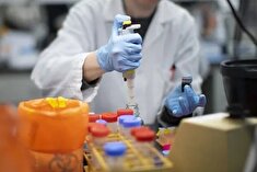 لزوم آمادگی در برابر اپیدمی ویروس‌های نوپدید