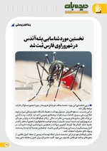 ص 26