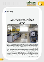 صفحه 31
