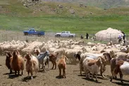 هشدار به عشایر اردبیل با برنامه‌های مجموعه پدافند غیرعامل برای خروج از ارتفاعات و مسیل‌ها