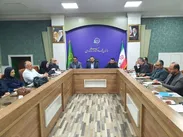 رزمایش سراسری مهار آفت مگس میوه در استان کلید می‌خورد