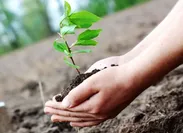 نقش مدیریت بحران در کاهش خسارات طبیعی و تصرفات غیرقانونی اراضی ملی