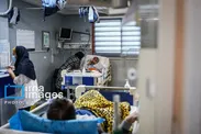 ۵۹۲ مصدوم و ۵۳ شهید در پی حملات هوایی امریکا