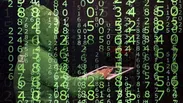 نفوذ هکر‌ها به وب‌سایت رئیس‌جمهور کنیا و درخواست بیت‌کوین
