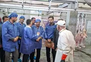 ارزیابی کشتارگاه دام محلات از منظر الزامات بهداشتی و پدافند غیرعامل