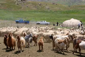 هشدار به عشایر اردبیل با برنامه‌های مجموعه پدافند غیرعامل برای خروج از ارتفاعات و مسیل‌ها