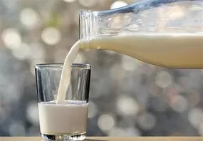 اجرای طرح ضربتی نظارت بر شیر خام به عنوان یکی از ارکان بنیادین پدافند غیرعامل زیستی