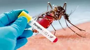 ثبت هزار ابتلا؛ بیشترین انتقال محلی تب دنگی در چابهار و کنارک