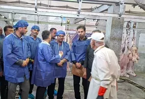 ارزیابی کشتارگاه دام محلات از منظر الزامات بهداشتی و پدافند غیرعامل