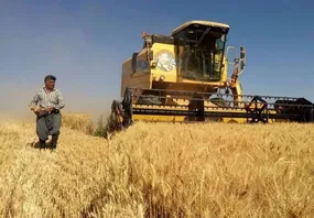 استمرار تأمین نهاده‌های کشاورزی یکی از پایه‌های پدافند غیرعامل است