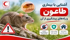 طاعون را بشناسیم؛ آگاهانه پیشگیری کنیم