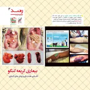 آشنایی مقدماتی و کنترلی بیماری کریمه کنگو