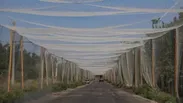 شهر‌ها «ضدپهپاد» می‌شوند؟