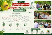 برگزاری هفت مورد رزمایش مبارزه با مگس میوه مدیترانه‌ای در روستا‌های قائم‌شهر