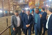 ضرورت حفظ برند‌های تولیدی شاخص و ارتقای ضریب ایمنی کارخانه‌ها