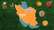 اراضی کشاورزی بستر امنیت غذایی در کشور
